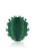 CACTUS PALLA VERDE