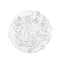 TASTY SOTTOPIATTO TONDO  SMALL PEACOCK