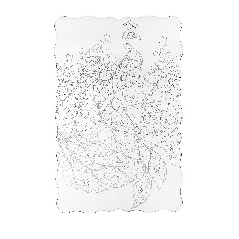 TASTY TOVAGLIETTA PEACOCK