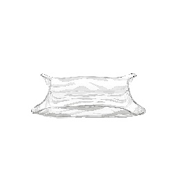 DRAPPEGGI  VUOTATASCHE  RETTANGOLARE  ANIMALIER