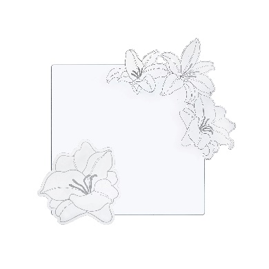 SET  TOVAGLIETTA / SOTTOBICCHIERE  RINASCIMENTO  QUADRATO