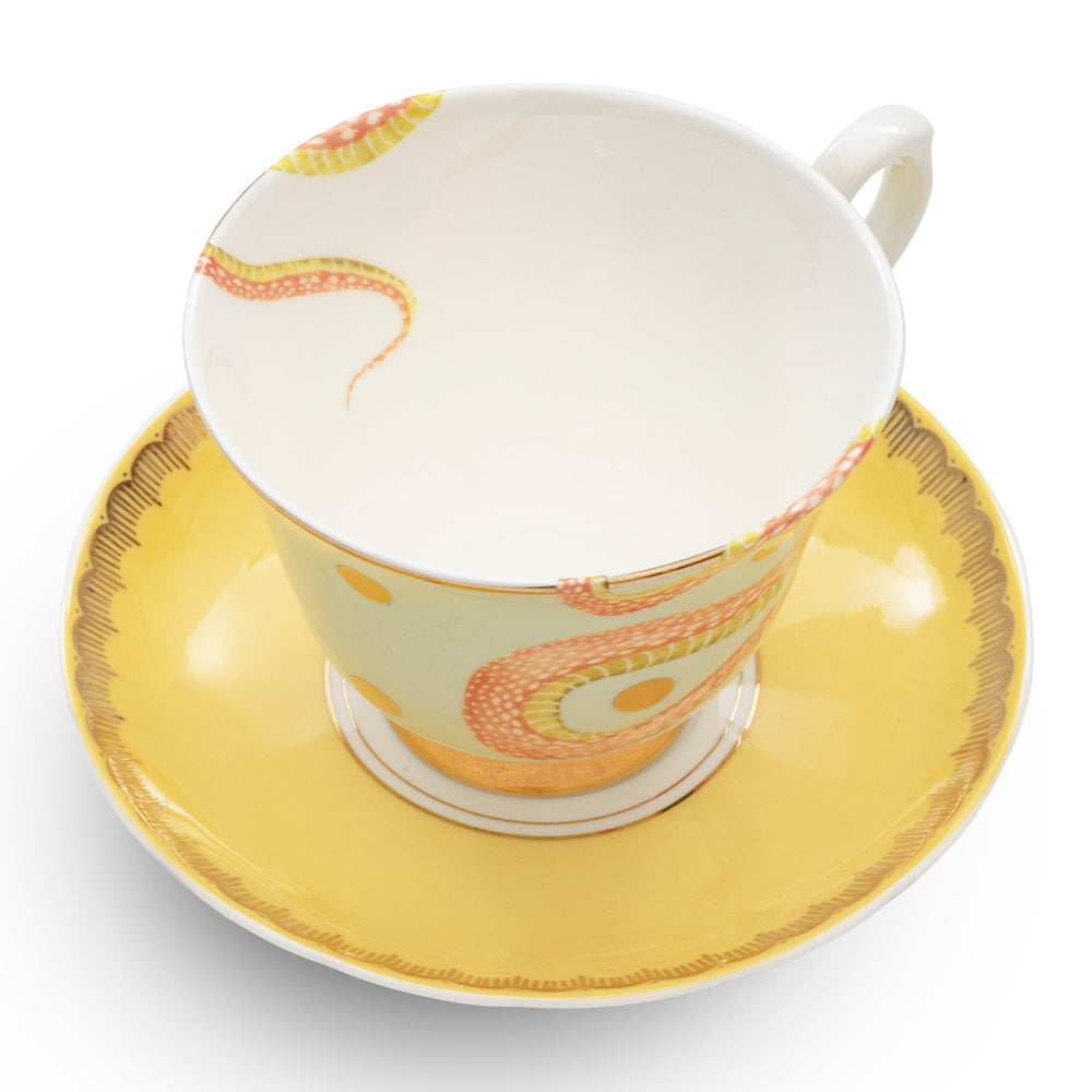 Tazza tè serpente con piattino in porcellana