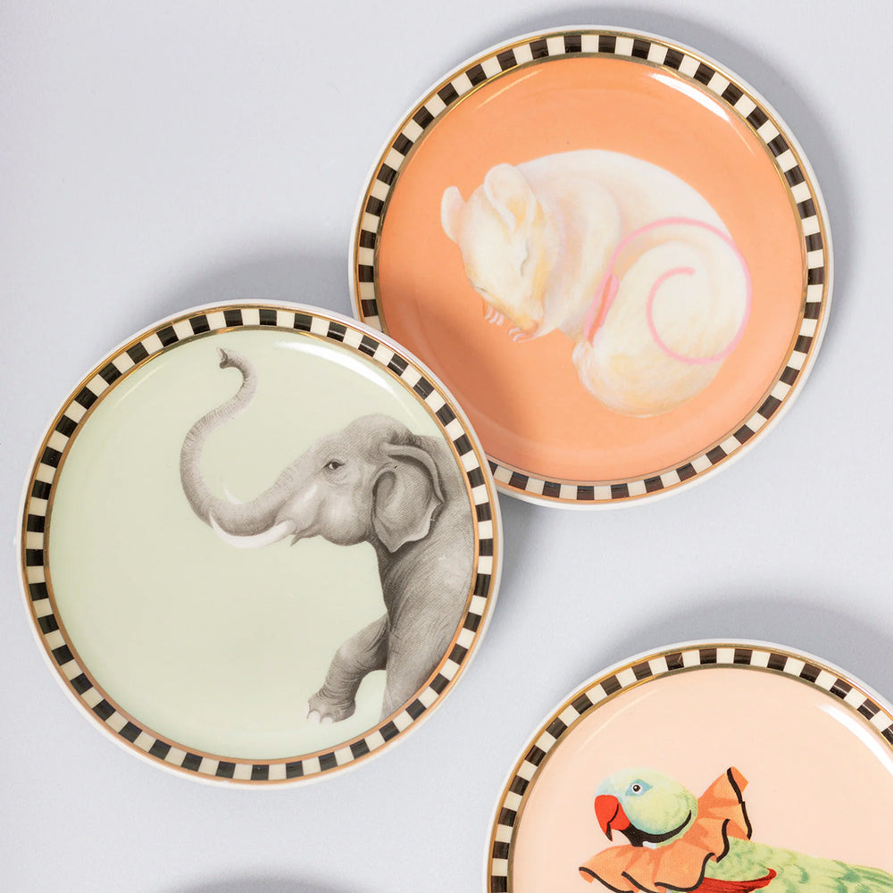 Set 4 sottobicchieri 10 cm Animals